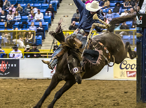 rodeo | Rodeo All-Star