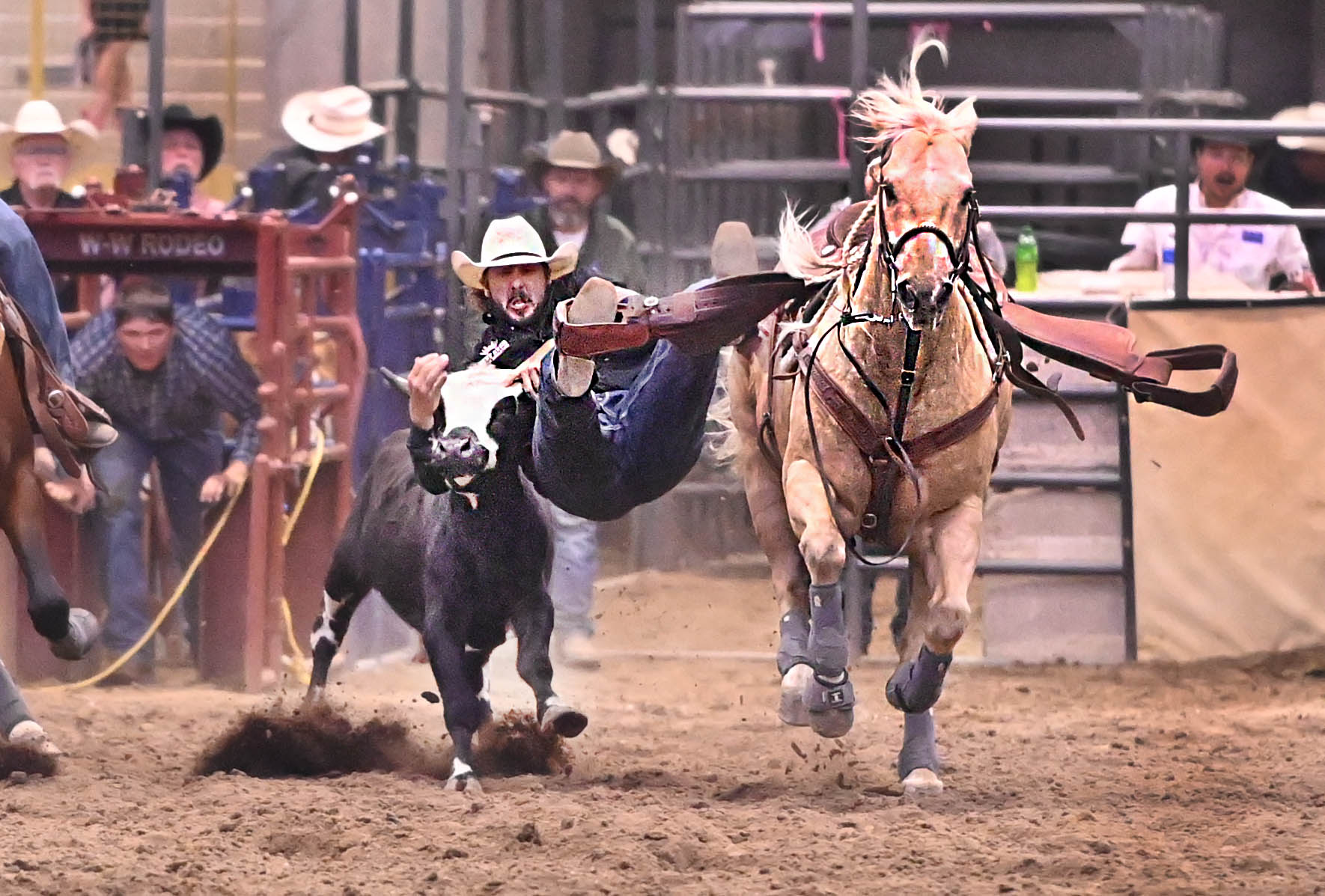 Payden McIntyre - Steer Wrestling